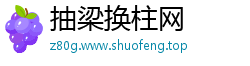 抽梁换柱网